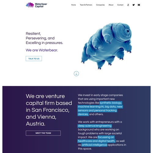 Water website with the title 'Website Concept for a venture capital'