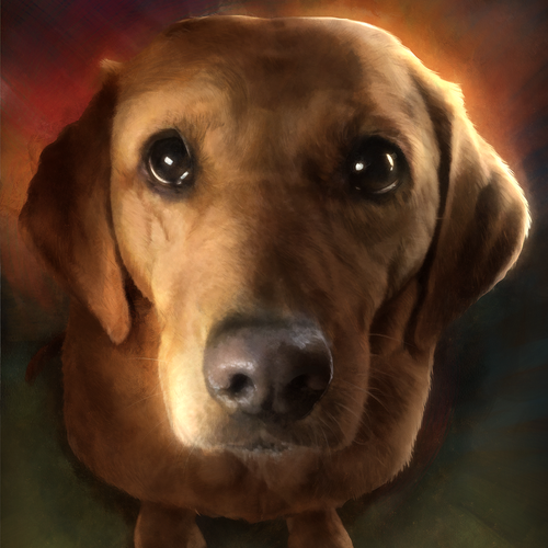 Pet illustration with the title 'Portrait of a Pet'