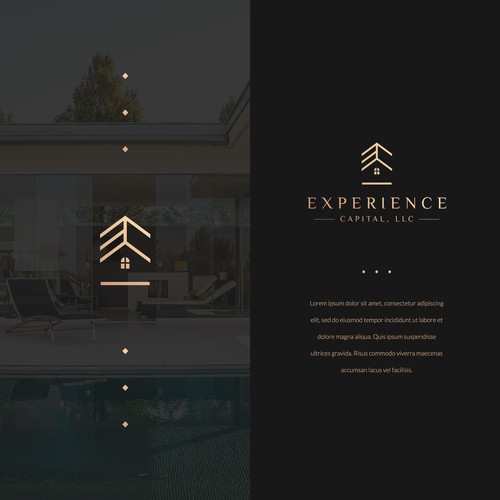 Luxury brand with the title 'Logo Design'
