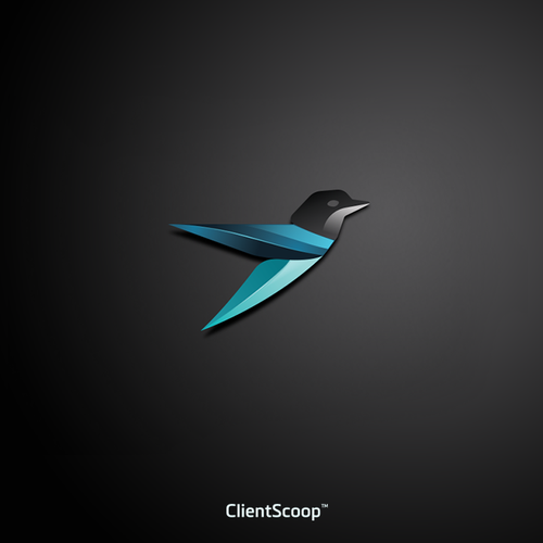 Fly logo with the title 'Loog for ClientScoop™'