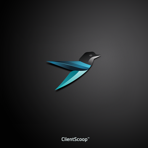 Fly design with the title 'Loog for ClientScoop™'