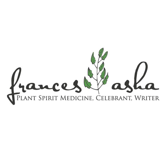 Basil logo with the title 'medical herbal logo '