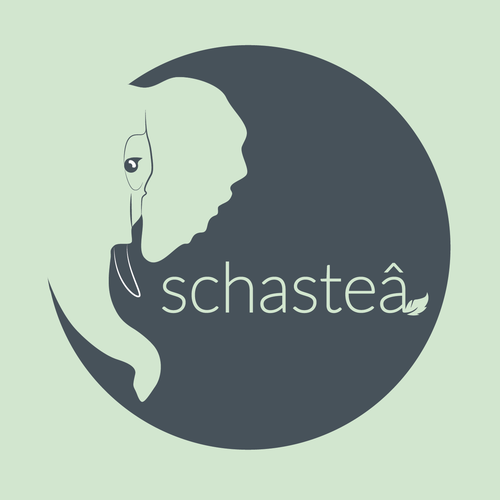 Experience logo with the title 'Tearoom & Crêperie: Schasteâ '