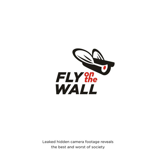 CCTV design with the title 'Fly on the  Wall'