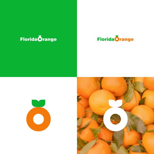 Florida logo with the title 'Orange Logo'