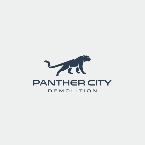 Panther logo with the title 'modern, bold and minimal panther design'