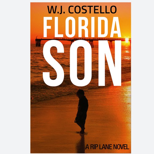 Photography book cover with the title 'FLORIDA SON book cover'