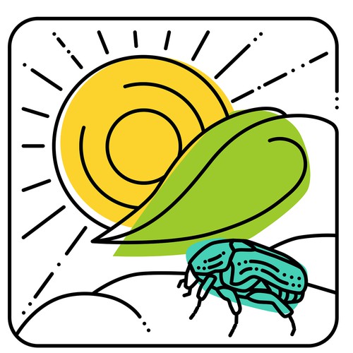 Line illustration with the title 'Little Bug'