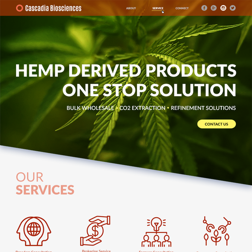 Dark website with the title 'Bold cannabis-industry related web design'