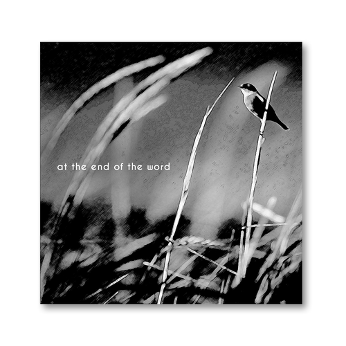 CD design with the title 'Music Album Cover'