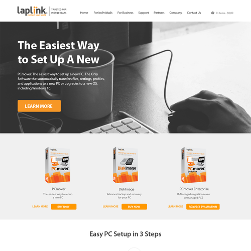 Easy-to-use website with the title 'Lapilink Software'