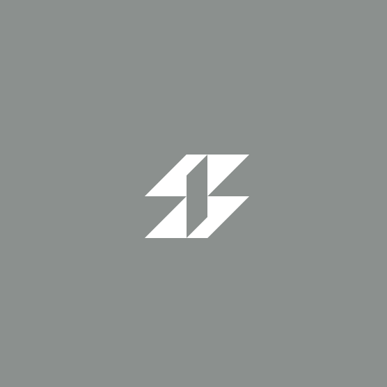 Z logo with the title 'Brandmark-NR0182'