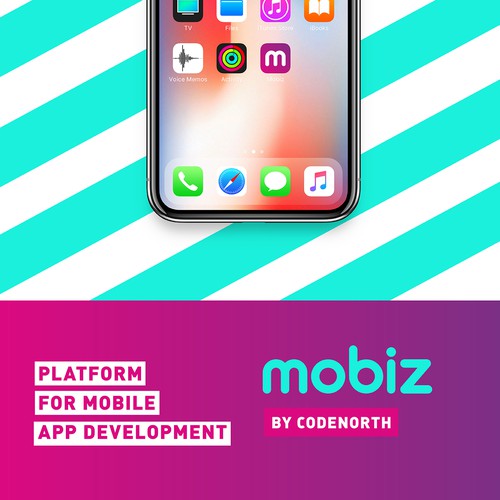 App brand with the title 'Platform for App development Branding'