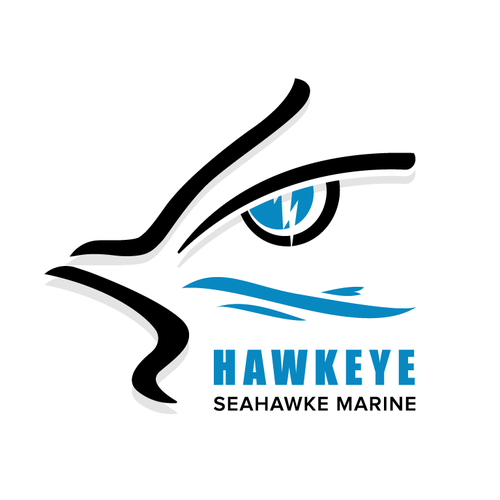 Safety design with the title 'Logo Design for Hawkeye Seahawke Marine'