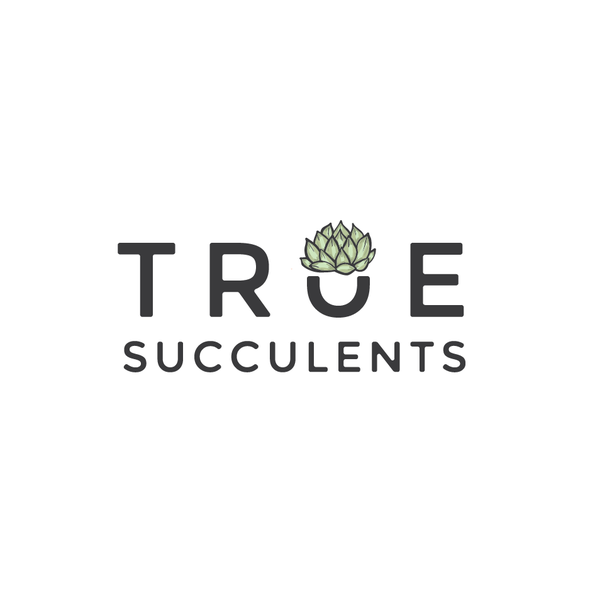 Succulent logo with the title 'True Succulents Logo'