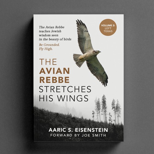 Religious book cover with the title 'Avian Rebbe'