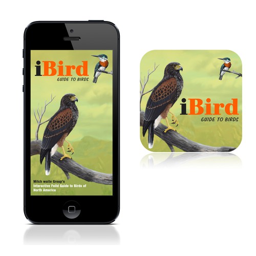 Splash screen design with the title 'Create a splash screen and icon for iBird Ultimate for the iPhone'