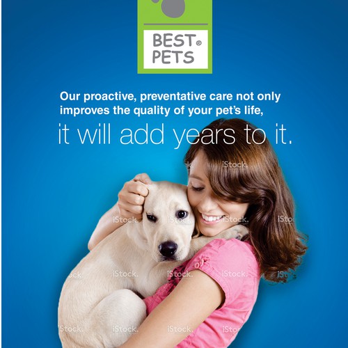A4 design with the title 'Create Program Brochure for Pet Wellness Program'