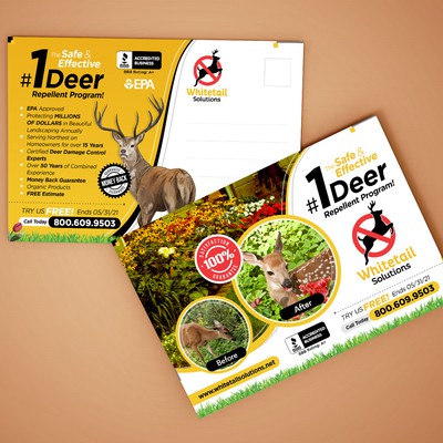 Whitetail Solutions - Deer Repellent Program - Postcard