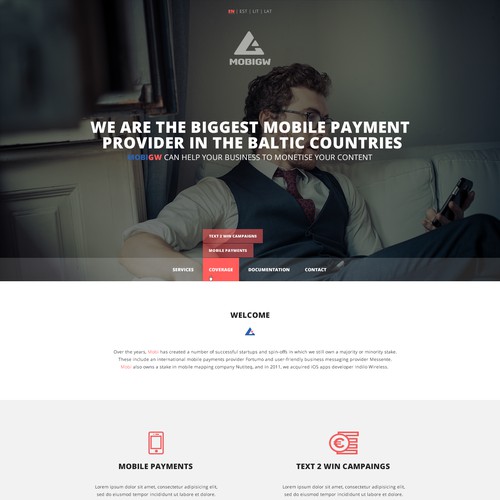 One page design with the title 'Mobile Payments provider'