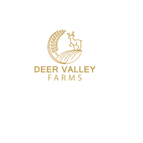 Valley design with the title 'DEE VALLEY LOGO'