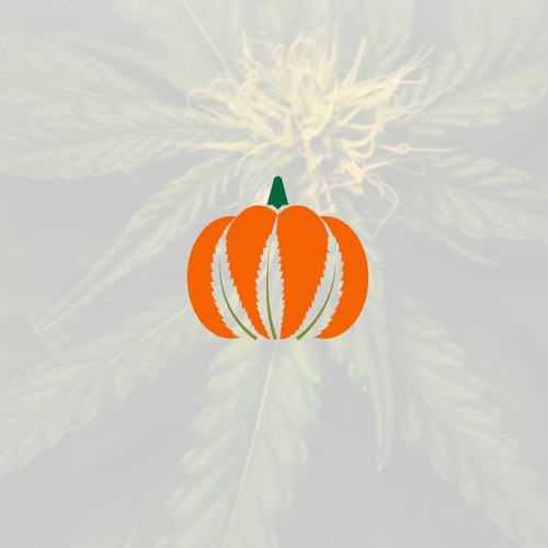 Pumpkin design with the title 'Hemp and Pumpkin Seed Oil Logo'