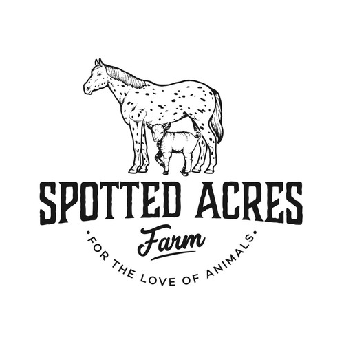 After effects logo with the title 'Spotted Acres Farm'