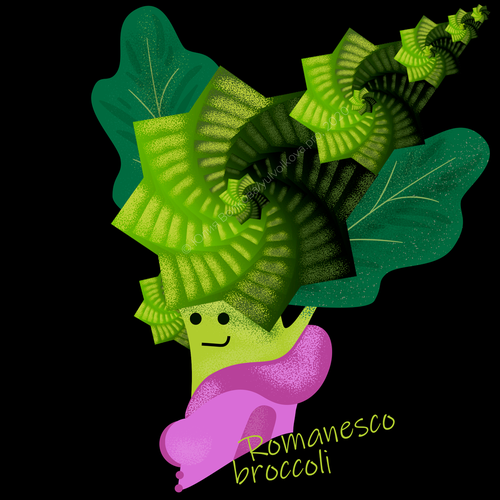 Vegetable artwork with the title 'Romanesco broccoli fractals funny print'