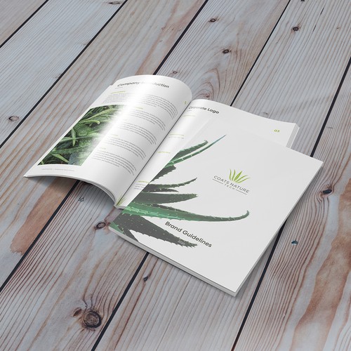 Style guide design with the title 'Brand Guide for health product'