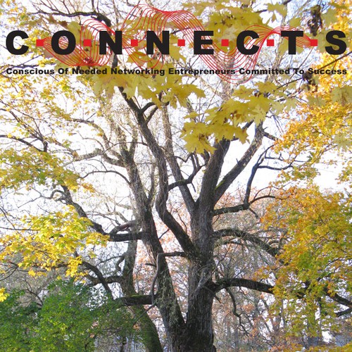 Magazine logo with the title 'business magazine logo'