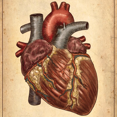 Medical artwork with the title 'a premium medical Illustration'