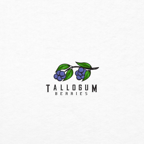 Blueberry logo with the title 'tallogum berries'
