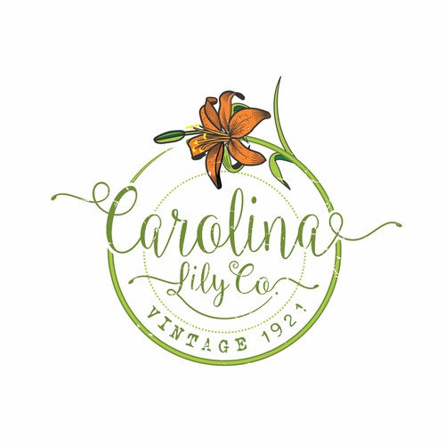 Lily logo with the title 'Carolina Lilly Company'