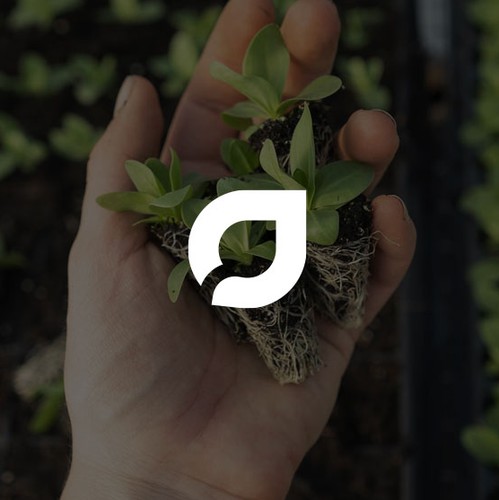 Vegetarian design with the title 'Fytobio'