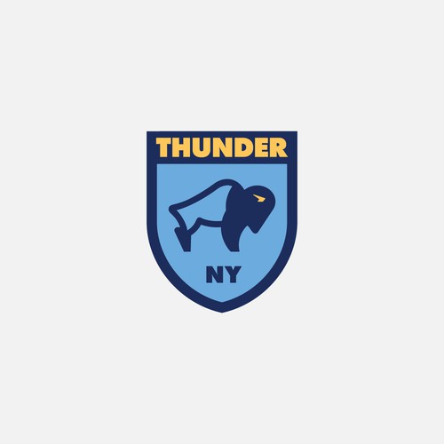 New York logo with the title 'Thunder Bison Logo'