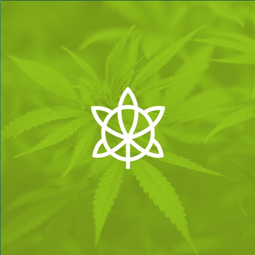 Tortoise logo with the title 'Great Life Canna Co.'