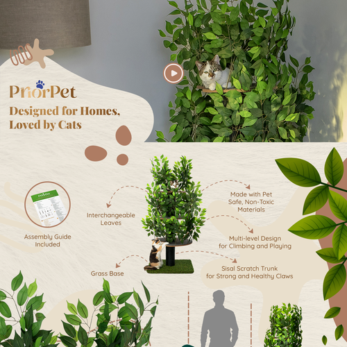 Cat design with the title 'Amazon A+ Premium Design for a Pet Brand'