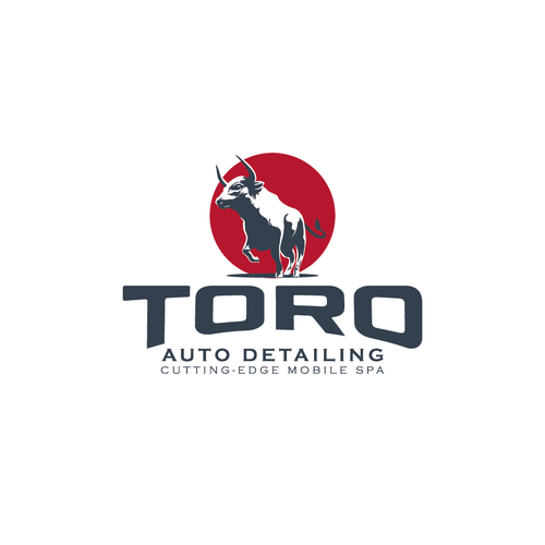 Kick-ass logo with the title 'Toro Auto Detailing'