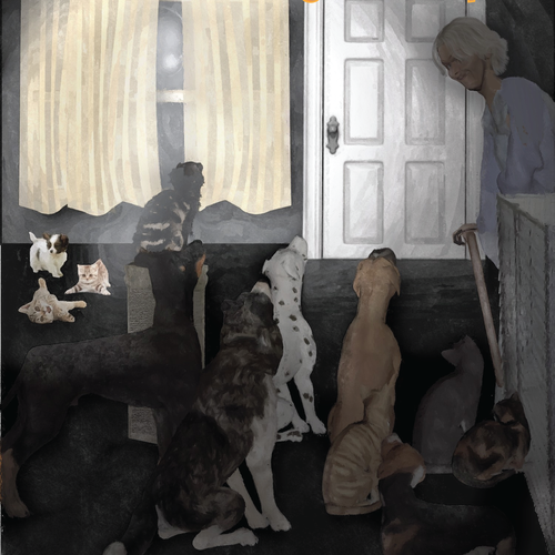 Cat book cover with the title 'Midnight at the Shelter of Hope'