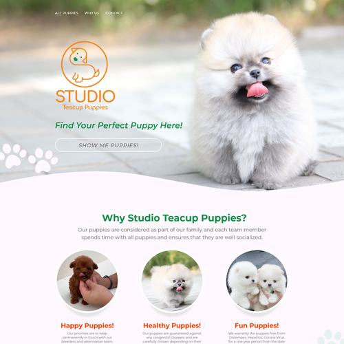 Animal website with the title 'Website - Showcasing and selling teacup puppies'