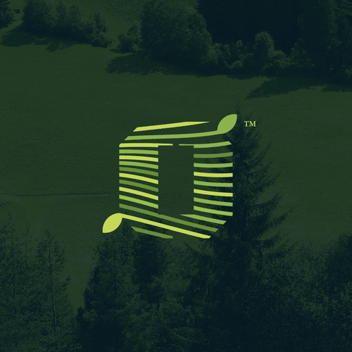 Bespoke design with the title 'OMYN Minimal Logo Design '