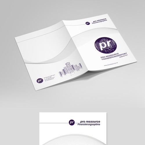 Resort design with the title 'Professional Report '