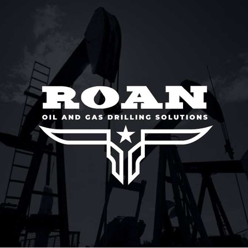 Bull logo with the title 'Oil and Gas Drilling Solutions'