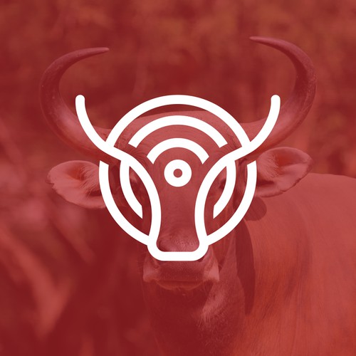 Bull brand with the title 'Bulls-i Logo'