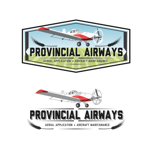 Service design with the title 'Help Provincial Airways with a new logo'