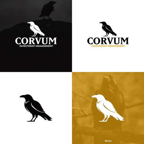 Raven logo with the title 'Raven Bird Logo'