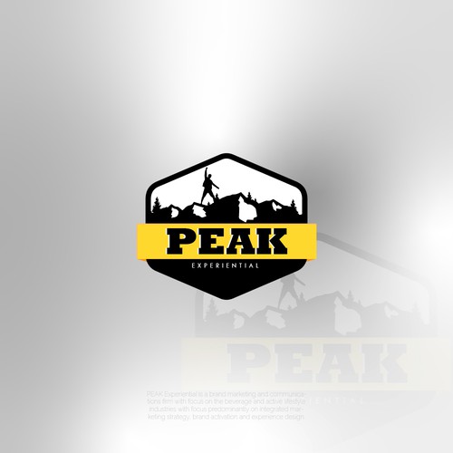 Best logo with the title 'PEAK'