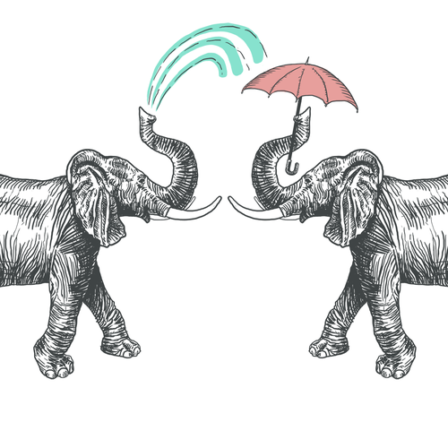 Rain design with the title 'An elephant crossed with Kate Spade class and French bistro shabbychic '