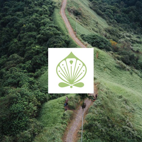 Shell logo with the title 'Wellvita Concept logo'