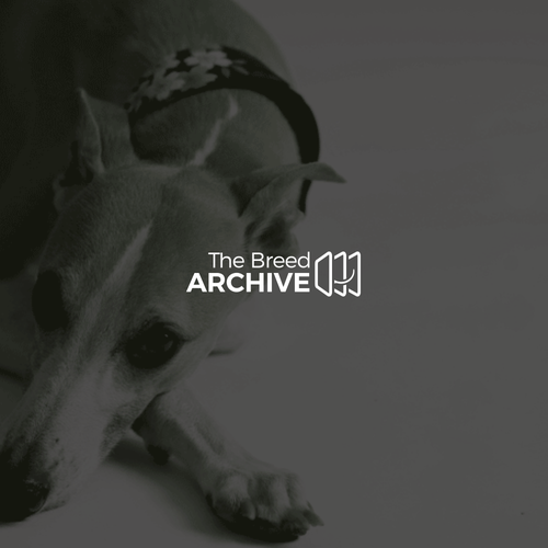 Cat design with the title 'The Breed Archive'